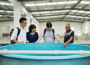 上海市青浦區(qū)農(nóng)業(yè)農(nóng)村委員會技術(shù)開發(fā)現(xiàn)狀與展望